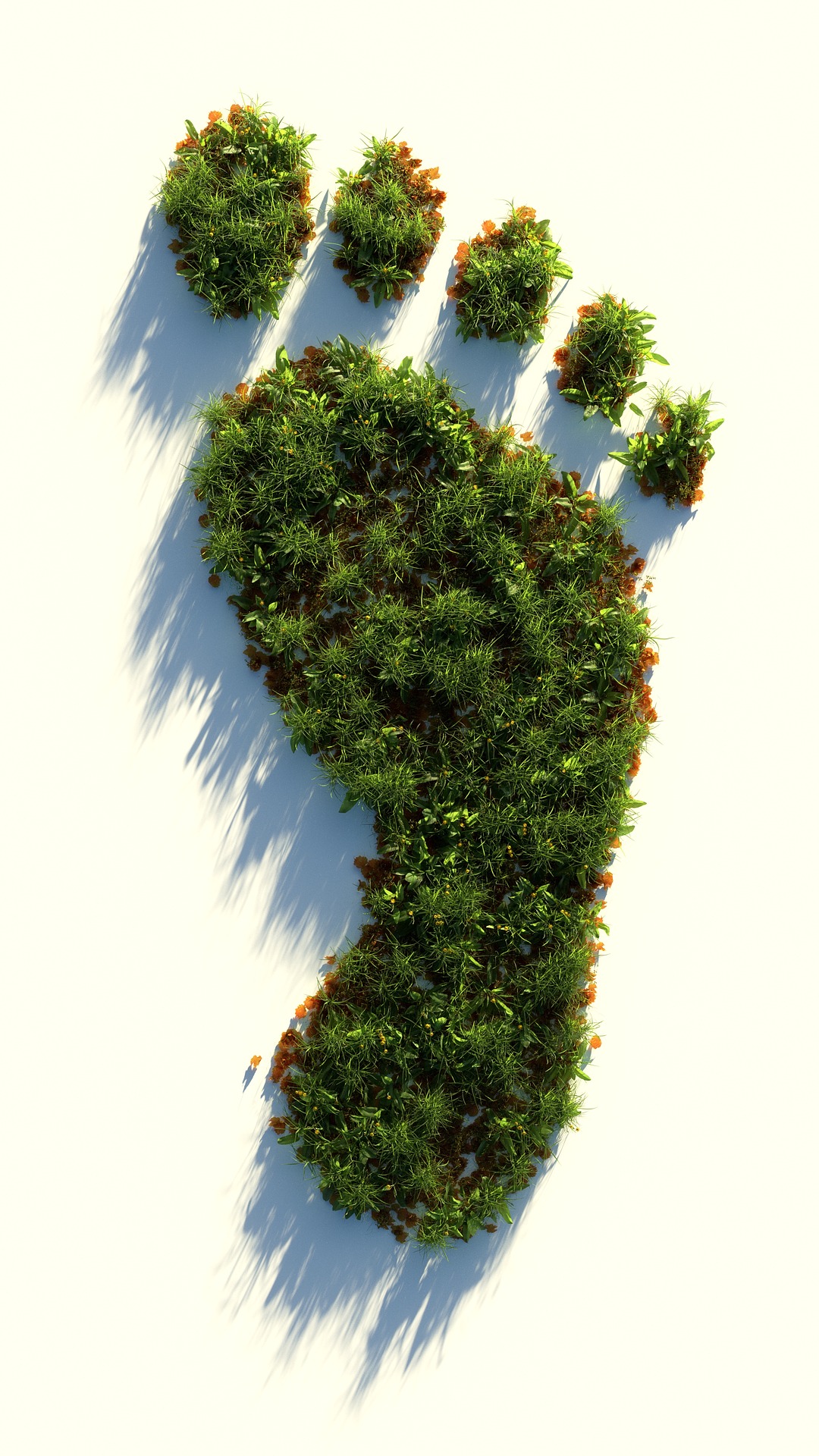 green- Colin Behrens auf Pixabay